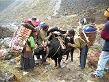 10 1 Egg Lady and Yak Herders Fixing Yak Loads The next day we ascended about 400m through the forest behind our tents and reached a high plateau with small lakes and streams high in the Kama Valley.